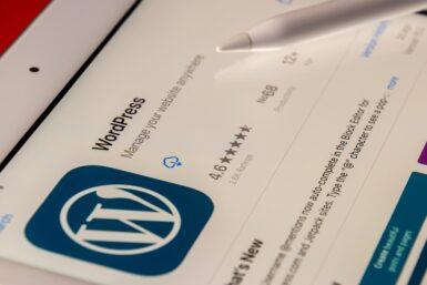 wordpress security challenges