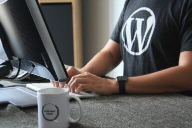 wordpress support